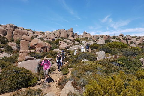 Alpine Loop - Australia Accommodation 2