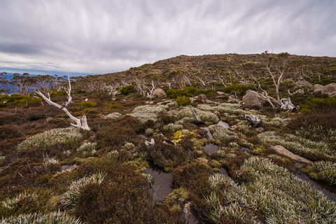 Alpine Loop - Australia Accommodation 0