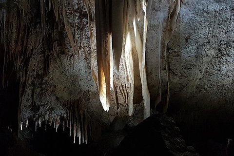 Shore Excursion: Coast, Caves And Wildlife Park - 8 Hour Tour - Australia Accommodation 10