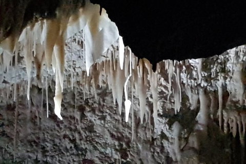 Shore Excursion: Coast, Caves And Wildlife Park - 8 Hour Tour - Australia Accommodation 21