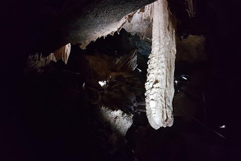 Shore Excursion: Coast, Caves And Wildlife Park - 8 Hour Tour - Australia Accommodation 12