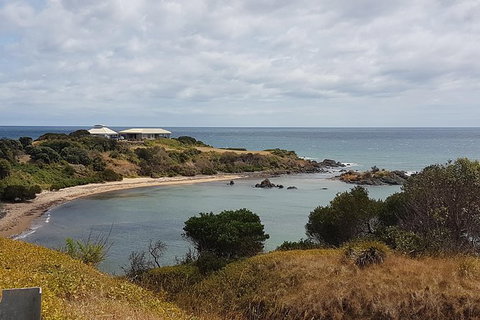 Shore Excursion: Coast, Caves And Wildlife Park - 8 Hour Tour - Australia Accommodation 0
