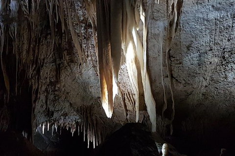 Shore Excursion: Coast, Caves And Wildlife Park - 8 Hour Tour - Australia Accommodation 7
