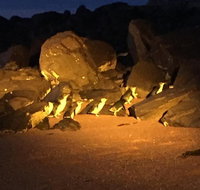 Penguin Tour - Australia Accommodation