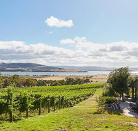 Launceston Wine  Sightseeing Tours - Australia Accommodation