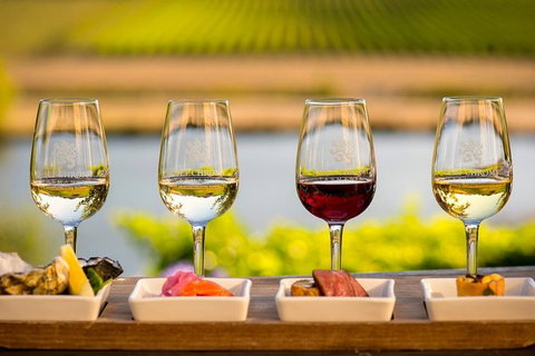 Launceston Wine & Sightseeing Tours - Australia Accommodation 4