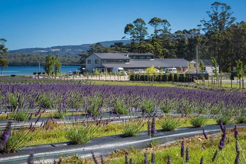 Private Hobart Discover South East Food And Scenic Tour - Australia Accommodation 3
