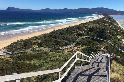 4-Day Fabulous Tasmania Tour: Wineglass Bay, Port Arthur, Devils & Bruny Island - Australia Accommodation 3