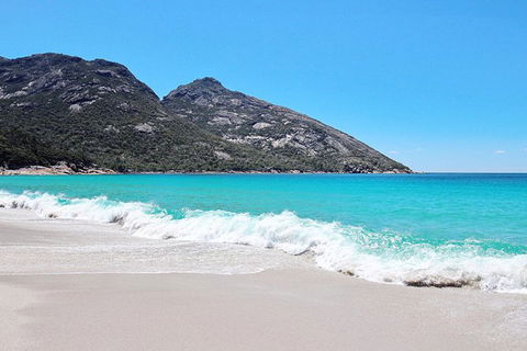 Sea & Explore Wineglass Bay & Freycinet National Park - Cruise & Walk - Australia Accommodation 4