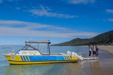 Sea & Explore Wineglass Bay & Freycinet National Park - Cruise & Walk - Australia Accommodation 7
