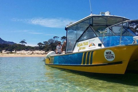 Sea & Explore Wineglass Bay & Freycinet National Park - Cruise & Walk - Australia Accommodation 1