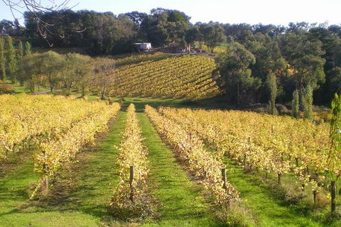 Macedon Ranges Winery Tour From Melbourne - Australia Accommodation 1