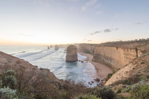PRIVATE Great Ocean Road Tour And 12 Apostles With Wildlife Spotting - Australia Accommodation 0