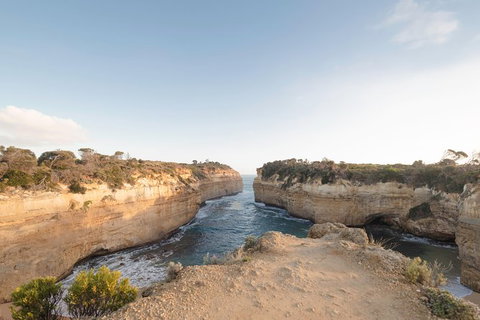 PRIVATE Great Ocean Road Tour And 12 Apostles With Wildlife Spotting - Australia Accommodation 1