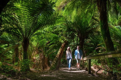 The Great Ocean Road 1 Day Private Sunset Tour - Australia Accommodation 1