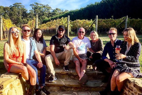 Daylesford Private, Corporate, Group Wine Tours: Wine, Cider, Gin, Vodka, Port! - Australia Accommodation 1