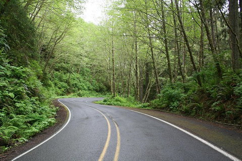 Cruise Ship Shore Excursion - Private Great Ocean Road Full Day Tour (12 Hour) - Australia Accommodation 1