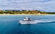 Half-Day Mornington Peninsula Dolphin And Seal Swim From Sorrento - thumb 1