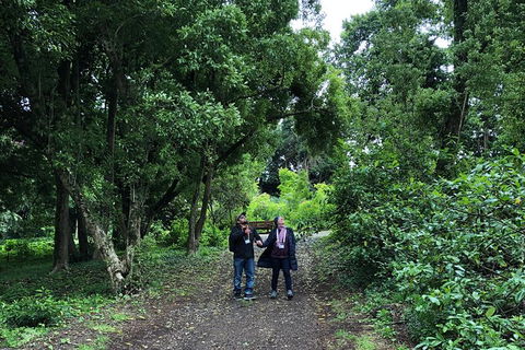 Alices Journeys Guided Walking Tours Of Daylesford - Australia Accommodation 5