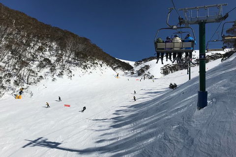Alpine Ultimate Snow Trip - Australia Accommodation 10