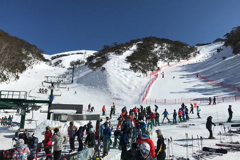 Alpine Ultimate Snow Trip - Australia Accommodation 4
