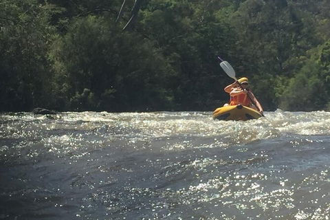 Yarra River Half-Day Rafting Experience - Australia Accommodation 5