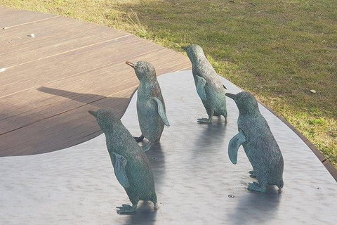 Phillip Island Penguin And Wildlife Tour - Australia Accommodation 14