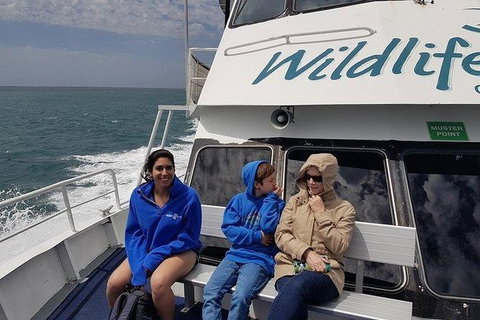 Phillip Island Penguin And Wildlife Tour - Australia Accommodation 15