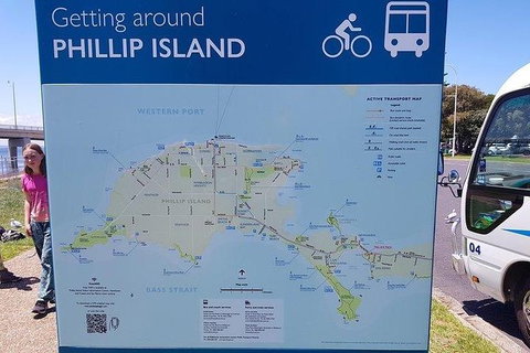 Phillip Island Penguin And Wildlife Tour - Australia Accommodation 28