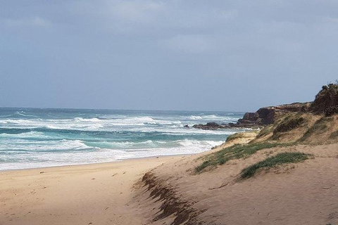 Phillip Island Penguin And Wildlife Tour - Australia Accommodation 10