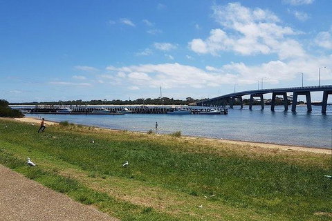 Phillip Island Penguin And Wildlife Tour - Australia Accommodation 24