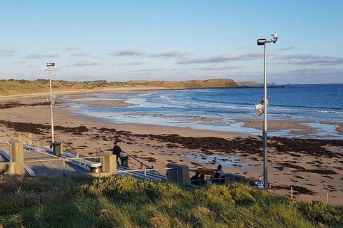 Phillip Island Penguin And Wildlife Tour - Australia Accommodation 8