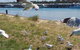 Phillip Island Penguin And Wildlife Tour - thumb 1