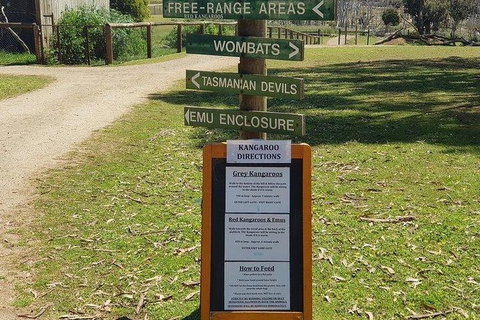 Phillip Island Penguin And Wildlife Tour - Australia Accommodation 4