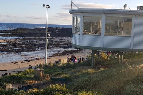 Phillip Island Penguin And Wildlife Tour - Australia Accommodation 33