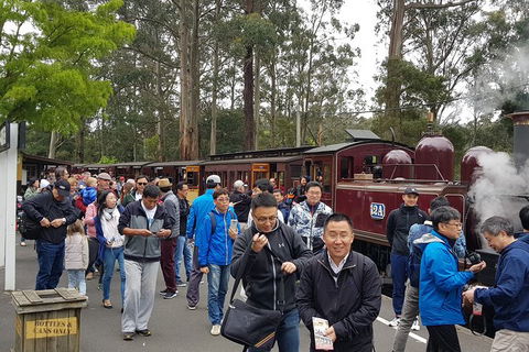 Day Tour Of Yarra Valley Puffing Billy And Rayners Orchard - Australia Accommodation 3