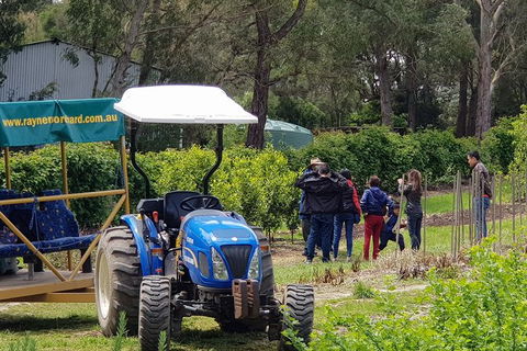Day Tour Of Yarra Valley Puffing Billy And Rayners Orchard - Australia Accommodation 10