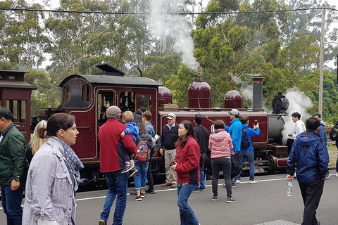 Day Tour Of Yarra Valley Puffing Billy And Rayners Orchard - Australia Accommodation 4