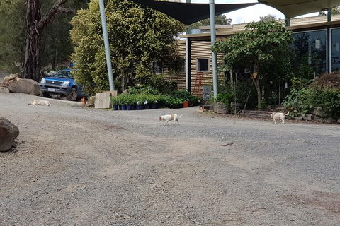 Day Tour Of Yarra Valley Puffing Billy And Rayners Orchard - Australia Accommodation 26