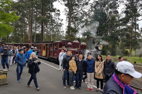 Day Tour Of Yarra Valley Puffing Billy And Rayners Orchard - Australia Accommodation 9