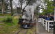 Day Tour Of Yarra Valley Puffing Billy And Rayners Orchard - thumb 43