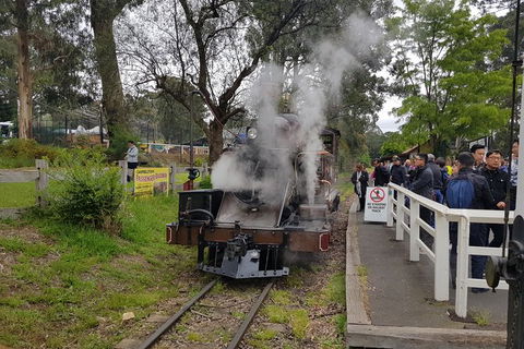 Day Tour Of Yarra Valley Puffing Billy And Rayners Orchard - Australia Accommodation 43