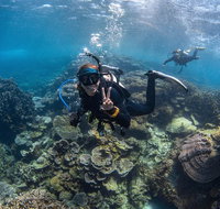 Ningaloo Adventure and Manta Ray Tour - Australia Accommodation