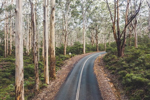 All Inclusive Surf Camp In Margaret River Region - Australia Accommodation 2