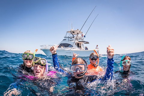 Life On Ningaloo Swimming Tour In Exmouth - Australia Accommodation 4