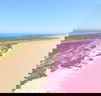 Pink Lake  Abrolhos Islands Scenic Flight - Australia Accommodation