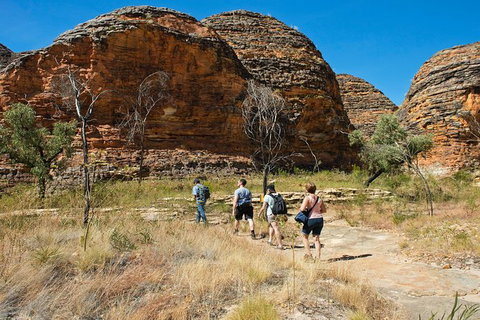 Bungle Bungle Explorer - Australia Accommodation 0