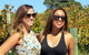 Margaret River Beer & Wine Adventure (departs Dunsborough/Busselton) - thumb 1