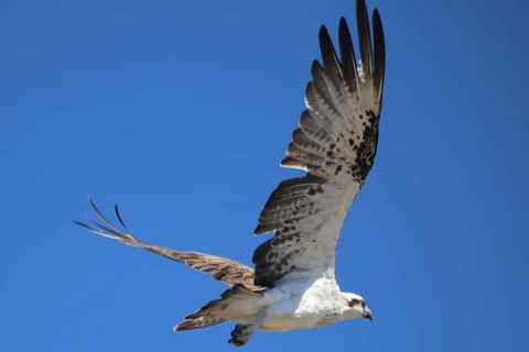 Romance Aircraft Flight + Scenic Tour + 3 Course Lunch + Beer Tasting + Hamper - Australia Accommodation 4