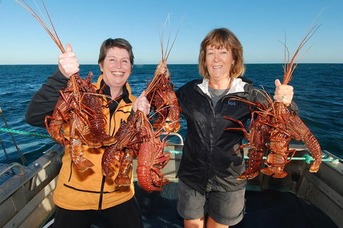 Abrolhos Islands 5 Day Tours - Australia Accommodation 1